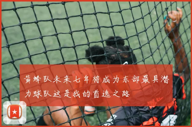 黄蜂队未来七年将成为东部最具潜力球队这是我的首选之路